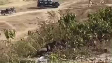 लंभुआ: लंभुआ में रेलवे ट्रैक पार करते समय युवक की ट्रेन से कटकर हुई मौत, पहचान में जुटी पुलिस