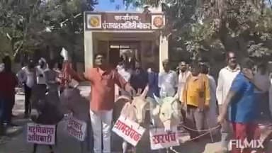 भोकर: भ्रष्टाचार विरोधात सोमठाणा येथील तक्रारदाराने भोकर पंचायत समितीवर काढला गाढव मोर्चा, मोर्चाचा व्हीडिओ व्हायरल