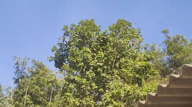 प्राकृतिक खूबसूरत रूप आप देख सकते हैं, प्रकृति बचाने में हम सब मिलकर जोर लगाएं