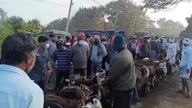 ಮಾಗಡಿ: ತಿರುಮಲೆಯಲ್ಲಿಮ ಸಂತೆ ಜಾಗಕ್ಕೆ ಶಾಸಕ ಬಾಲಕೃಷ್ಣ ಭೇಟಿ ಪರಿಶೀಲನೆ