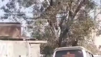 बेरला: बेमेतरा बस स्टैंड के पास दर्दनाक सड़क हादसे में युवती की मौके पर मौत, युवक गंभीर रूप से घायल