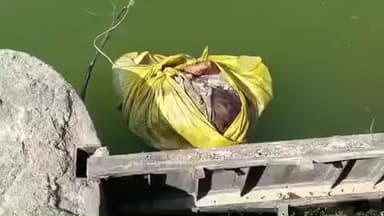 किनवट: सहस्त्रकुंड धबधबा परिसरात कोल्हापुरी बंधाऱ्यात गाठोड्यात बांधलेला मृतदेह आढळून आल्याने उडाली खळबळ