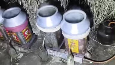 वारिसनगर: मथुरापुर पुलिस ने गोविंदपुर के पास से 135 लीटर देसी शराब के साथ दो कारोबारियों को किया गिरफ्तार