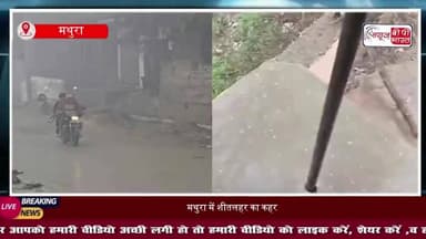 मथुरा में शीतलहर का कहर, पड़े ओले, जनजीवन प्रभावित
#Mathura #MathuraWeather #ColdWave #DenseFog