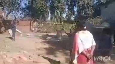 कामडारा: कामडारा प्रखंड परिसर में घेराबंदी रोकने की मांग, महिला ने कामडारा सीओ को सौंपा आवेदन