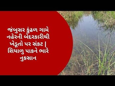 જંબુસર કુંઢળ ગામે નહેરની બેદરકારીથી ખેડૂતો પર સંકટ | શિયાળુ પાકને ભારે નુકસાન