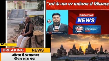 ओरछा में 80 साल का पीपल काटा गया | Betwa River | धर्म के नाम पर पर्यावरण से खिलवाड़ #news #orchha