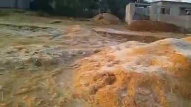 सतबरवा: सतबरवा क्षेत्र में जमी ओस की बूंदें, सफेद चादर से ढके दिखे खलिहान