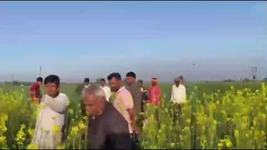 हंडिया: हरदा के हंडिया क्षेत्र में बाघ की दस्तक, खेड़ा और भवरतालाब गांव में दहशत