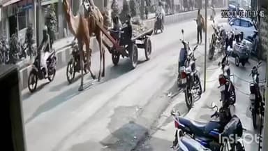 ચોરાસી: કતારગામ વિસ્તારમાં હીરાના કારખાનેદારે બ્રેક મારતા બાઈક પરથી પટકાયા, સિટી બસ ચાલકે કચડી નાખતા મોત સીસીટીવી માં ઘટના કેદ.