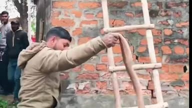 निचलौल: रामपुर चटिया में घर के अंदर निकले तीन विशाल कोबरा, वन जीव रक्षक ने किया सफल रेस्क्यू