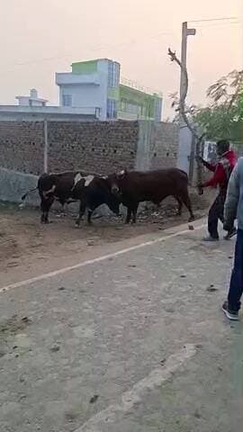 Herudiyara munger bihar