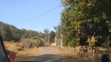 वनांचल क्षेत्र ठाकुर्मा में पारंपरिक गौरा नृत्य का प्रसारण लाइव दिखाने सफर में निकले ! डिजिटल "आज तक" के प्रतिनिधि 🎆