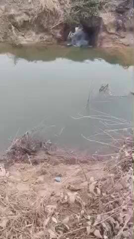 करछना: अन्तहिया गांव के सामने टूटी नहर को दो दिनों से ठीक न किए जाने से सैकड़ों बीघा किसने की फसल जलमग्न हुई