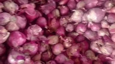 पोलायकलां: प्याज-लहसुन के भाव में गिरावट, पोलाय कला कृषि उपज मंडी दो दिन के लिए बंद