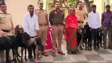 बारामती: बारामतीत शेळ्या-बोकड चोरणारी टोळी जेरबंद; १३ लाखांचा मुद्देमाल जप्त