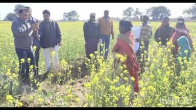 बालूमाथ: कोमर गांव में निदेशक ने सरसों की फसल का किया निरीक्षण, किसानों से हुए रूबरू