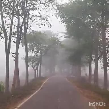 कतरीसराय: कतरीसराय में कड़ाके की ठंड और घने कोहरे से जनजीवन अस्त-व्यस्त