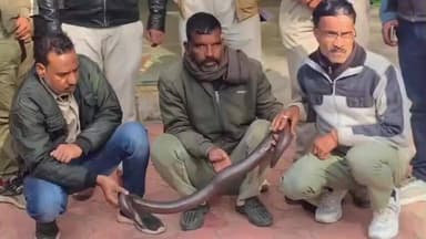 दलौदा: हवाई पट्टी भालोट रोड से रेड सेंड बोआ सांप की तस्करी में 3 गिरफ्तार, 1 फरार, वन विभाग की अभिरक्षा में आरोपी