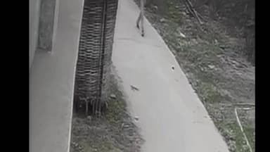 सरैया: सरैया थाना क्षेत्र में एक व्यक्ति की बेरहमी से पिटाई का सीसीटीवी वीडियो सोशल मीडिया पर वायरल