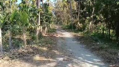 কালচিনি: কালচিনির সাতালি মণ্ডল পাড়ায় চিতাবাঘের আতঙ্ক, দিনেও গৃহবন্দি এলাকার সাধারণ মানুষ