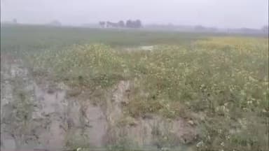 तुलसीपुर: नहर टूटने से लोहेपनिया के किसानों की 100 एकड़ रबी फसल जलमग्न होकर बर्बाद, किसानों ने नहर विभाग पर लापरवाही का लगाया आरोप