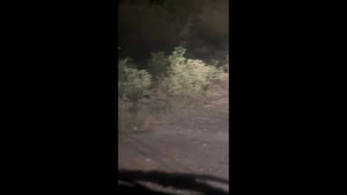 શિનોર: શિનોરમાં દીપડા ના આંટાફેરા શરૂ થતા લોકોમાં ફફડાટ