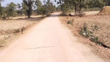 वारासिवनी: 43 लाख की सड़क से ग्राम बोटेझरी के अमृतटोला को मिली नई राह, पक्की सड़क का निर्माण हुआ पूरा