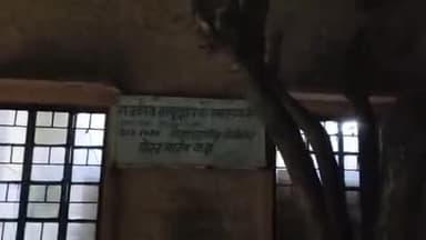 बिलारा: बिलाड़ा में सनसनीखेज हत्या का मामला, 22 वर्षीय युवक का शव कमरे में मिला