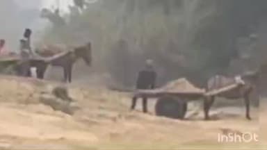 तुलसीपुर: नकटी नाले में अवैध बालू खनन का नया तरीका, ट्रॉली बैलगाड़ी छोड़ घोड़ा गाड़ी से कर रहे लोग खनन
