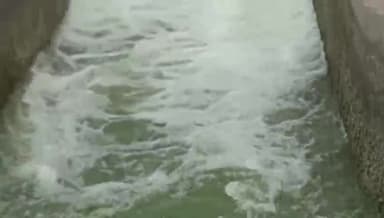 கிருஷ்ணகிரி: KRP அணை நீர்த் தேக்கத்தில் இருந்து இரண்டாம் போக பாசனத்திற்காக 120 நாட்களுக்கு மாவட்ட ஆட்சியர் தினேஷ்குமார் தண்ணீர் திறந்து விட்டார்