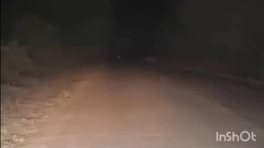 गुलाबगंज: गुलाबगंज मार्ग पर हथियाखेड़ा के पास बाघ देखने से दहशत, वन विभाग ने रहवासियों को सुरक्षित रहने की सलाह दी