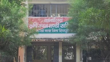 नरवर: नरवर मगरोनी कृषि उपज मंडी में फसलों की आवक जारी, धान ₹3300 व मूंगफली ₹6400 प्रति क्विंटल