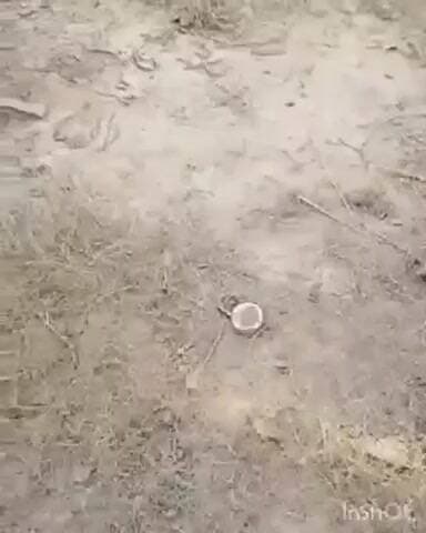 सलेमपुर: लार थाना क्षेत्र के पटना गांव में दुकान का ताला तोड़कर मोटर सहित अन्य सामान हुआ चोरी