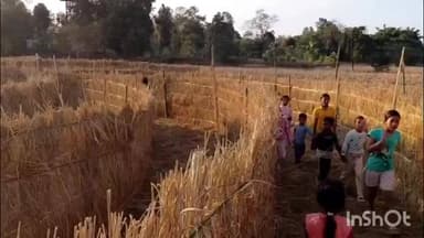 টিংখং: মহাভাৰতৰ যুদ্ধৰ এটা চক্ৰবেহুৰ আৰ্হিৰ ভেলাঘৰ নিৰ্মাণ কৰিলে টিংখাঙৰ নাহৰপৰা বৰবিল গাঁৱত ৰাইজে