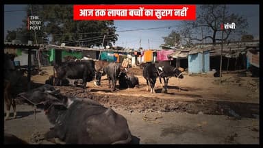 JHARKHAND : आठवे दिन भी बच्चों का कोई सुराग नहीं , माँ की एक शब्द कोई ढूंढ कर ला दे मेरा बच्चा !
#jharkhand #thenewspost...