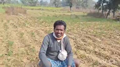 रमकंडा: रमकंडा में नीलगायों का कहर, आलू-मटर की फसल बर्बाद, किसान परेशान