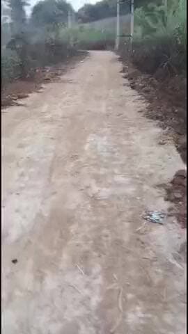 मझगवां: पिंडरा पंचायत में नियमों को ताक पर रखकर सीसी रोड का निर्माण, बिना कॉम्पेक्शन के बिछाई जा रही सड़कें