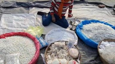 माघ मेला प्रयागराज 2026 का दृश्य