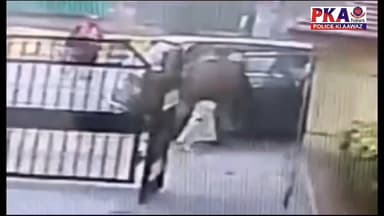 काली गाड़ी में जबरन बैठा कर ले भागे बदमाश घटना सीसीटीवी में हुई कैद