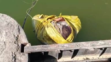 उमरखेड: मुरली बांधाऱ्याजवळ फारीत बांधलेला अनोळखी मृतदेह आढळला
