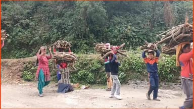 #इस तरह के दृश्य भी अब कम दिखाई देने लगे हैं।