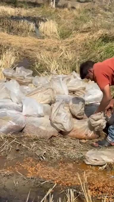 पुसौर: ग्राम टपरदा में अवैध महुआ शराब भट्टी का नष्टिकरण, पुसौर पुलिस ने की बड़ी कार्रवाई