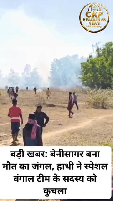 बड़ी खबर: बेनीसागर बना मौत का जंगल, हाथी ने स्पेशल🐘🐘🦣 बंगाल टीम के सदस्य को कुचला Ckp Headlines