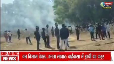 झारखण्ड :हाथी के आतंक से कांपा कोल्हान, प्रशासन की पोल खुली
#Chaibasa #ElephantAttack #HathiKaKahar #JharkhandNews #West...