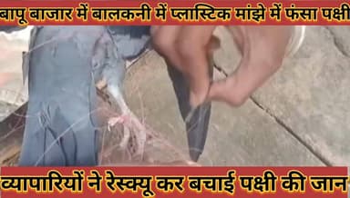 #बापू_बाजार_में_प्लास्टिक_मांझे_में_फंसा_पक्षी_व्यापारियों #ने_रेस्क्यू_कर_बचाई_जान_इंसानियत_का_फर्ज
#bapu #bajar #me #...