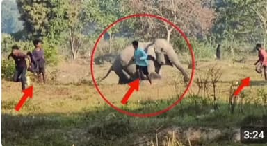 सरकार ने पर्यावरण का समीकरण को बदल दी है, काफी मुस्किल हालत पर जिंदगी , ये झारखंड सरकार की मूर्खता, संपत्ति को बचाने