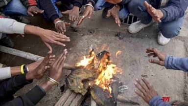 पलासी: पालासी प्रखंड में भीषण ठंड और तेज पछुआ हवा से जनजीवन पूरी तरह अस्त-व्यस्त