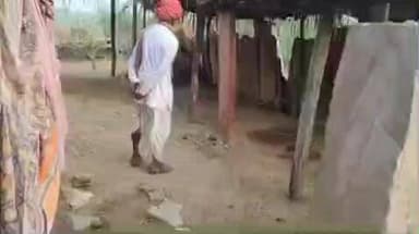 मारवाड़ जंक्शन: मारवाड़ जंक्शन के आउवा गांव में रहवासी के मकान के बाड़े से तीन भैंस चोरी, मालिक ने चोरों के खिलाफ कराया मामला दर्ज