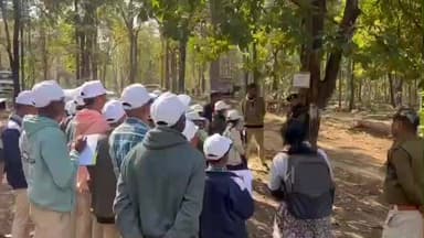 खकनार: जंगल में शिक्षा: नावरा वन परिक्षेत्र में इको-फ्रेंडली अनुभूति कैंप, 130 विद्यार्थियों ने लिया पर्यावरण संरक्षण का संकल्प